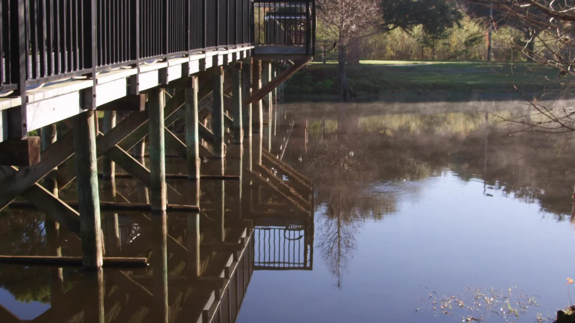 Thumbnail image for Autumn NineNorth You're Watching