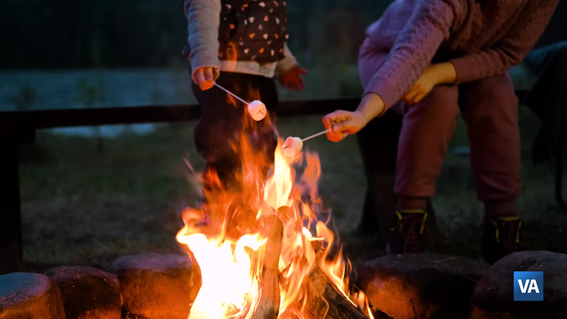 Thumbnail image for Vets Parks Pass