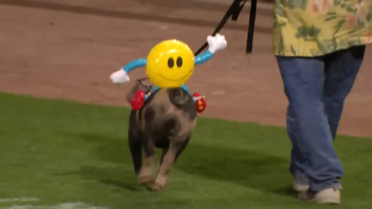 Thumbnail image for St. Paul Saints vs Iowa Cubs 6-8-23