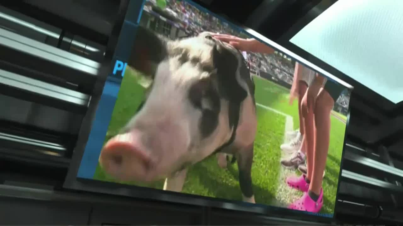 St. Paul Saints vs Rochester Red Birds 4-25-24