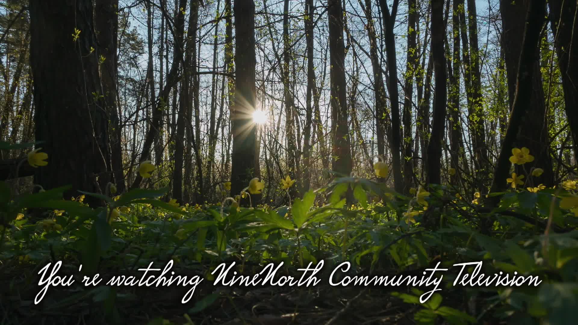 Thumbnail image for You're Watching SUMMER