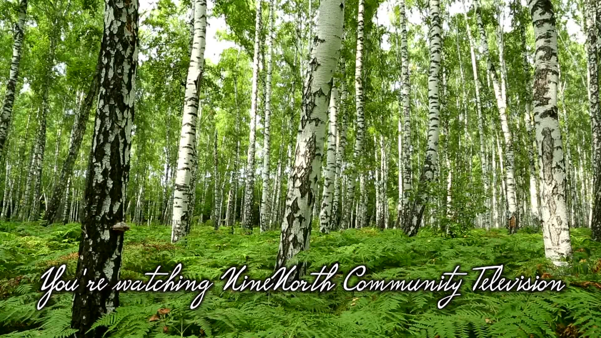 You're Watching SUMMER TOO