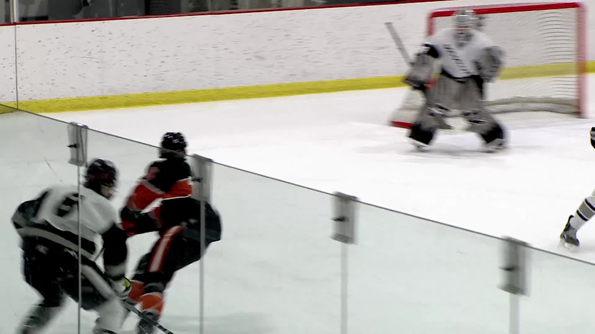 Boys Hockey Roseville vs White Bear Lake 1-13-25