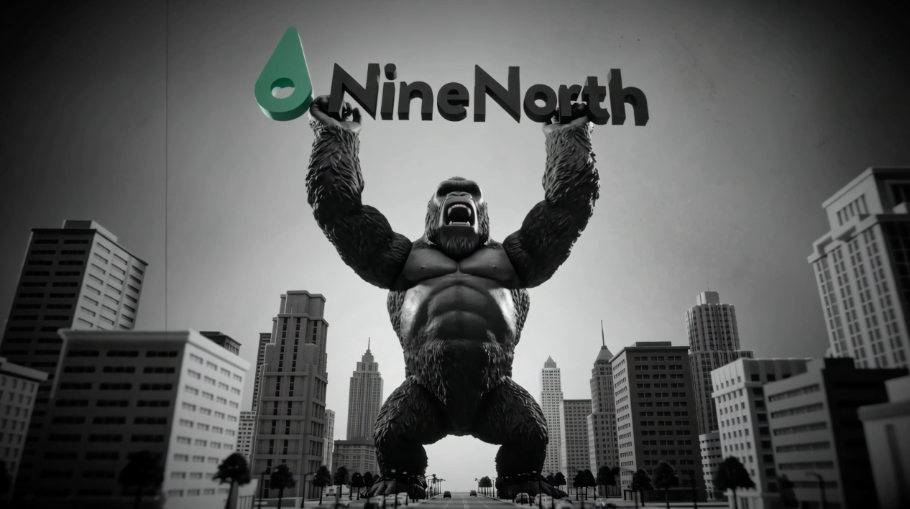 Thumbnail image for LOGO_NineNorth Kong_15s